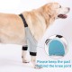 Ортопедична наколенка за куче / Orthopedic knee brace for a dog