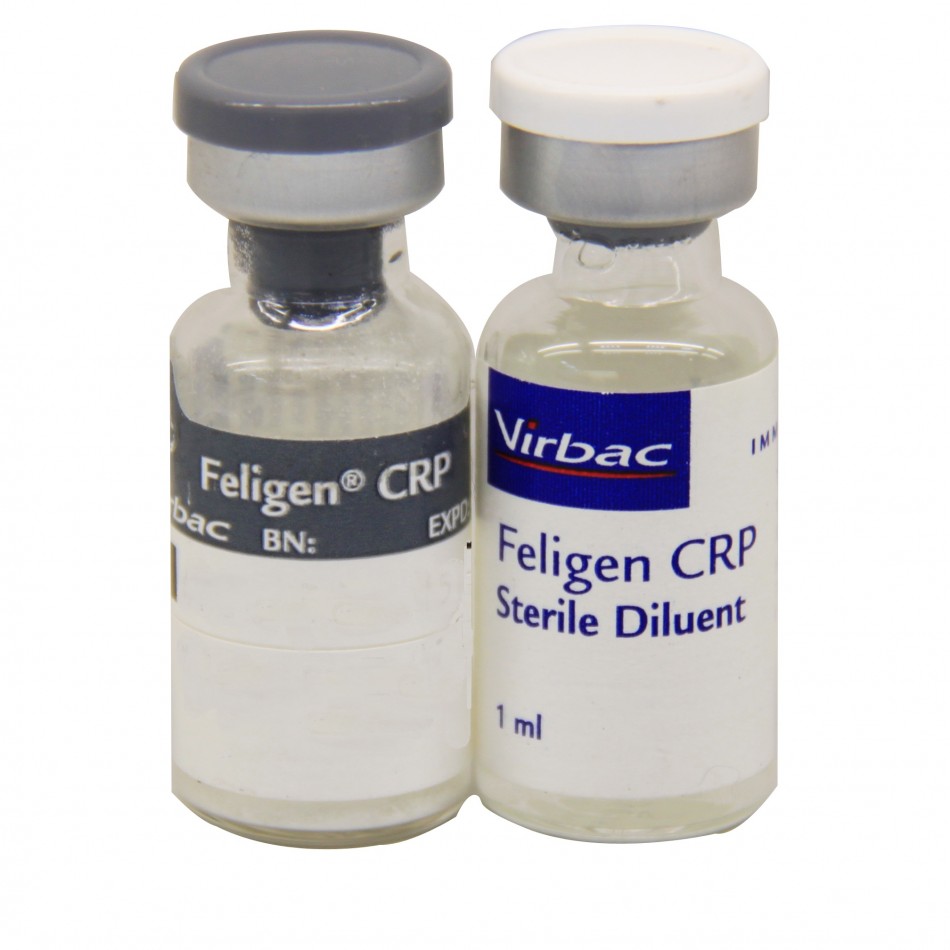 Leucofeligen FeLV/RCP for Cats