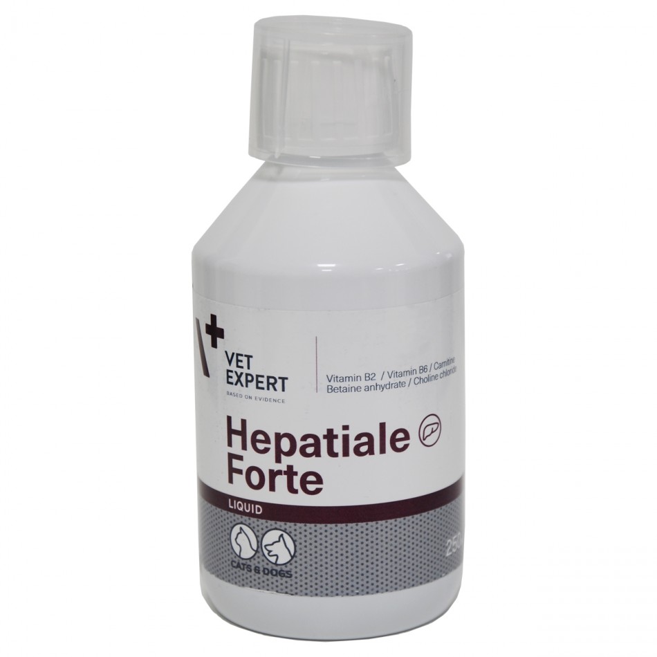 Hepatiale Forte Liquid, 250 ml 