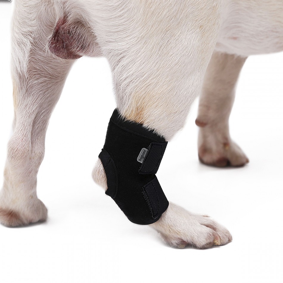 Orthopedic stabilizing joint splint / Ортопедична стабилизираща ставна лонгета/шина/ за заден крак 