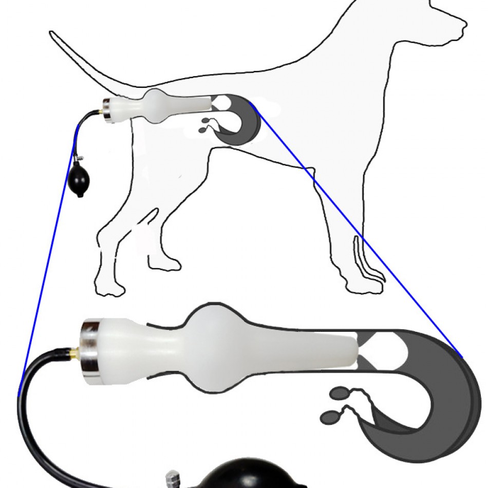 Reusable Artificial Insemination kit for Dog / Комплект за изкуствено осеменяване  на кучета за многократна употреба 