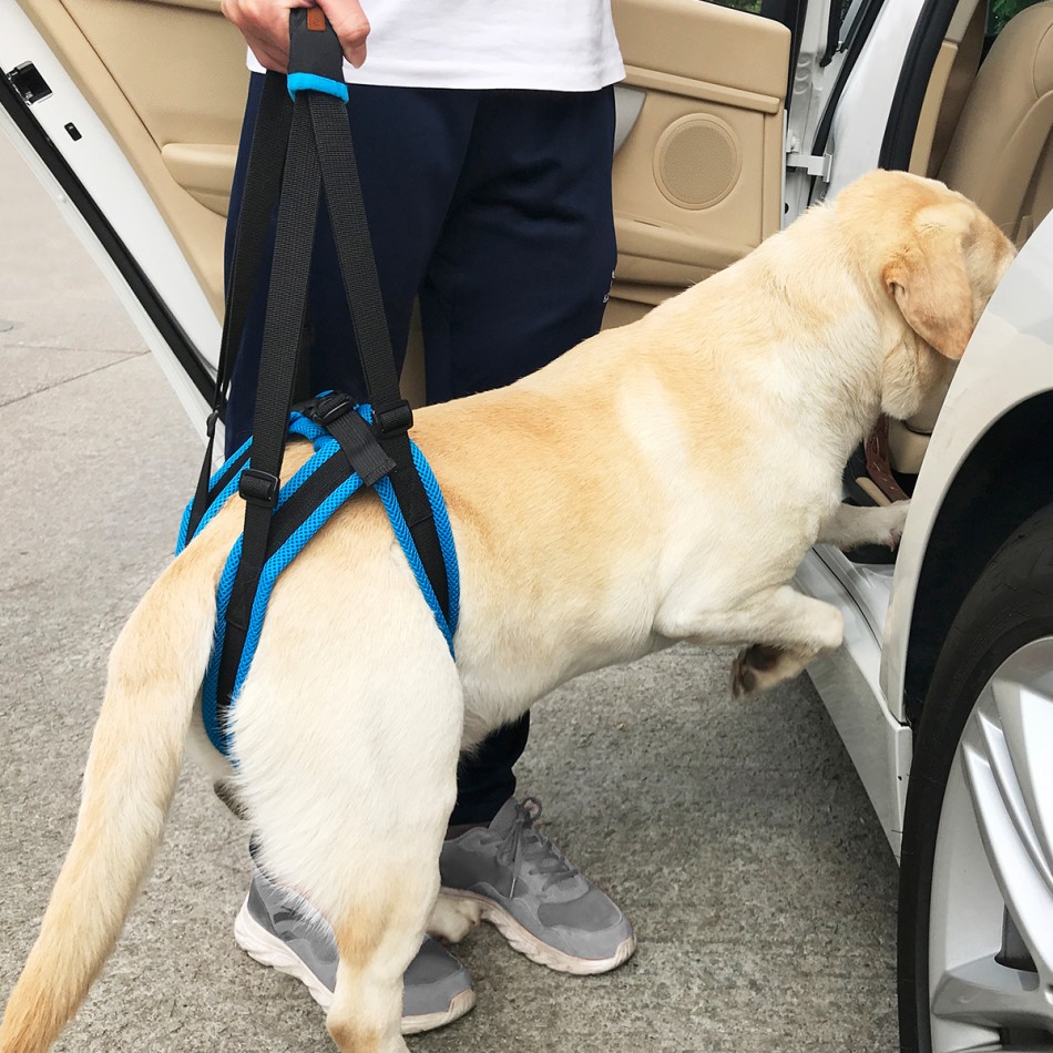 Dog support harness passing through the pelvis / Нагръдник за подпомагане на кучета, минаващ през таза четери размера