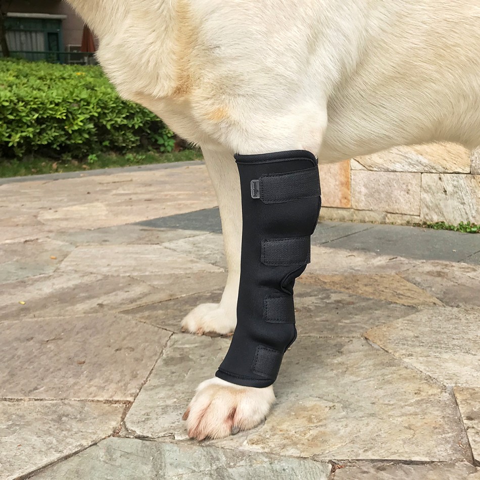 Orthopedic stabilizing joint splint / Ортопедична стабилизираща ставна лонгета/шина/ за преден или заден крак 