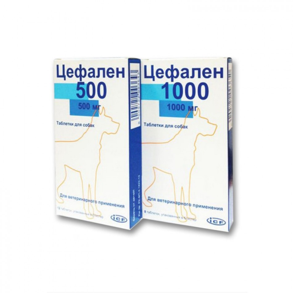 Tsefalen 500 mg / Цефален 500 мг  / 12бр. филмирани таблетки за кучета  1000 мг  / 8бр. табл. в кутия