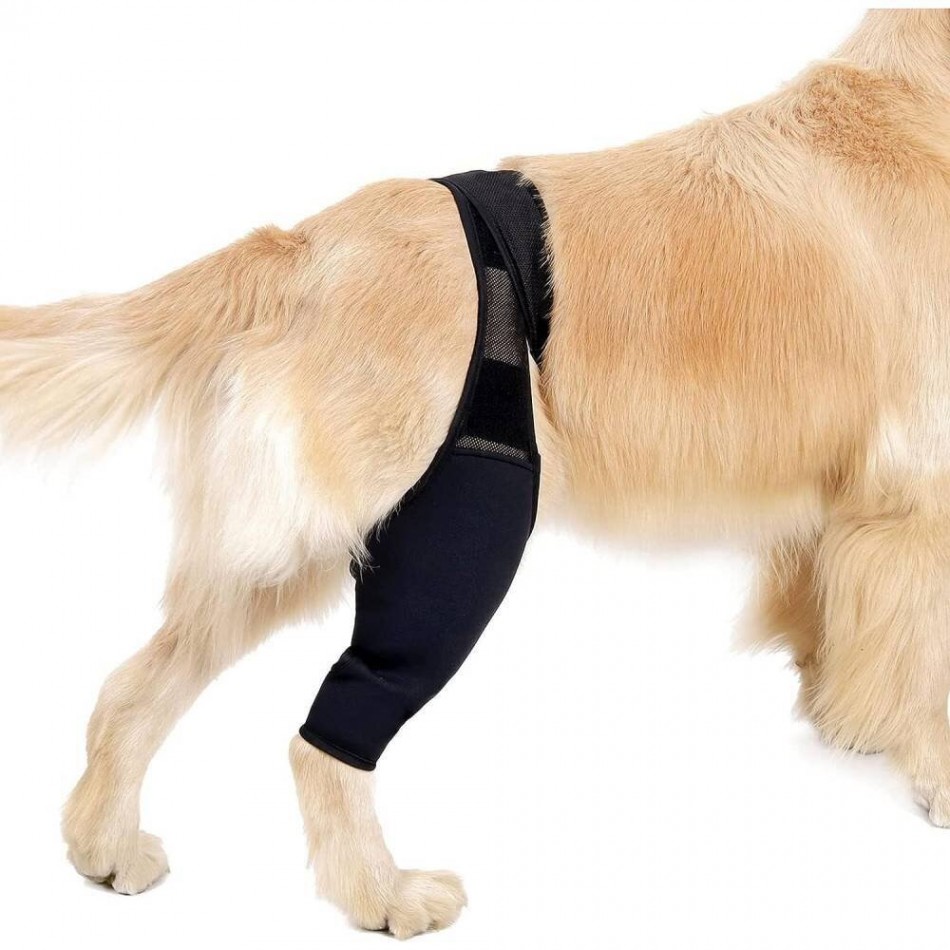 Ортопедична наколенка за куче / Orthopedic knee brace for a dog