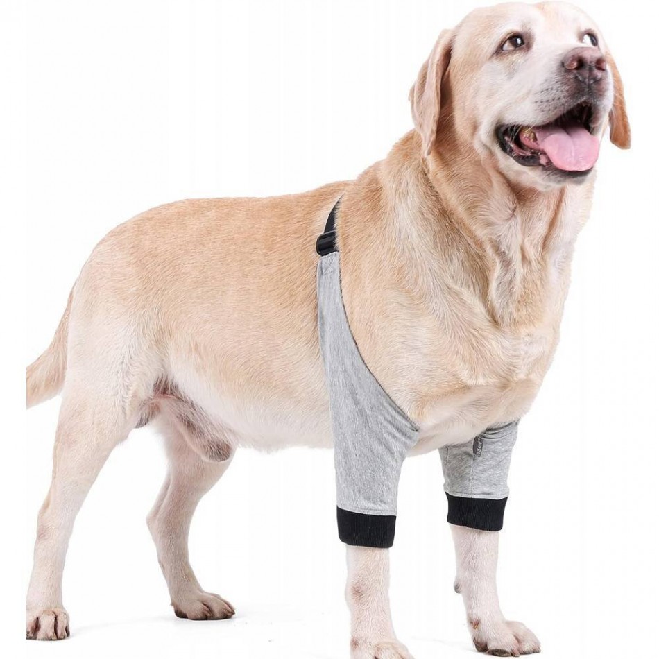 Ортопедична наколенка за куче / Orthopedic knee brace for a dog