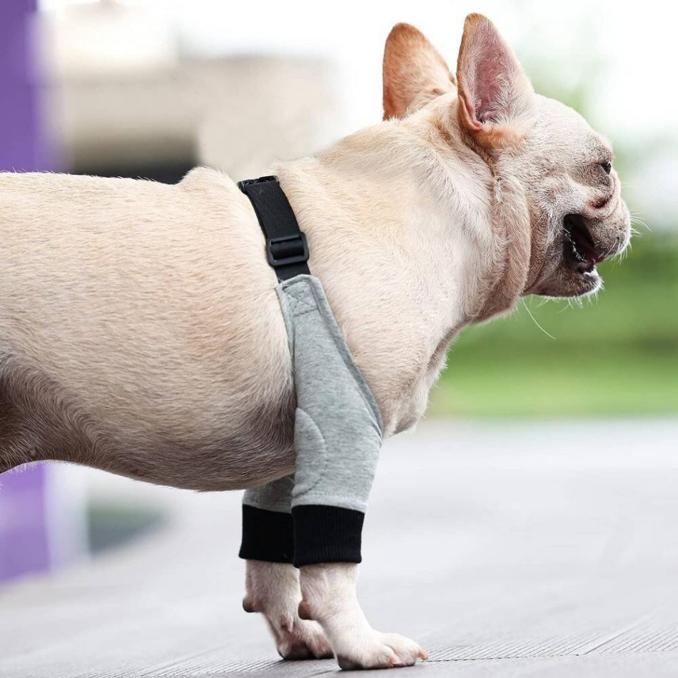 Ортопедична наколенка за куче / Orthopedic knee brace for a dog