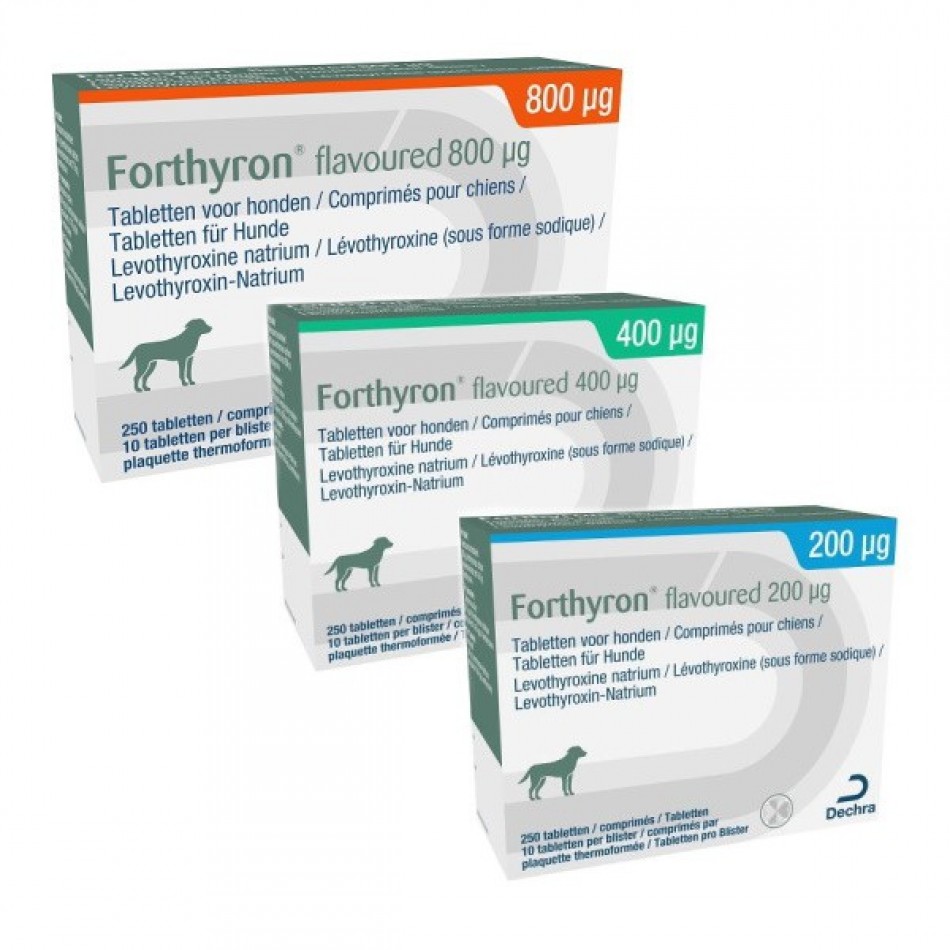 Forthyron flavoured 200 mcg 25x10 tablets / 400 mcg 25x10 tablets / 600 mcg 25x10 tablets - Фортирон  10 табл. в кутия